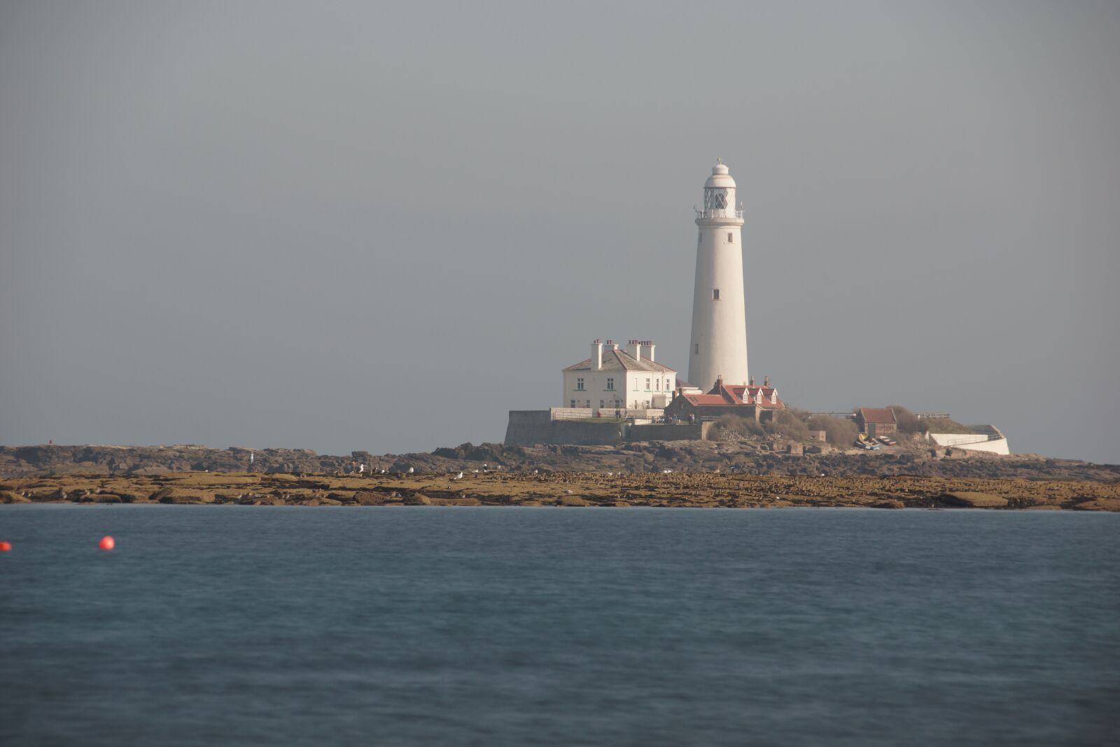 Sony SLT-A77 sample photo. Lighthouse, st marys lighthouse photography