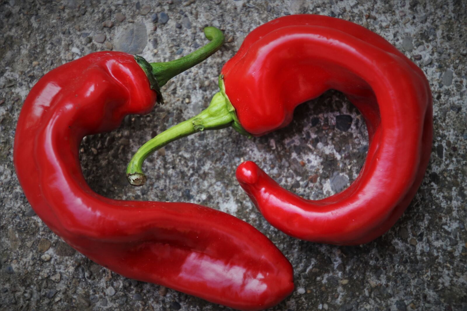 Canon EOS 80D sample photo. Red pepper, para, components photography