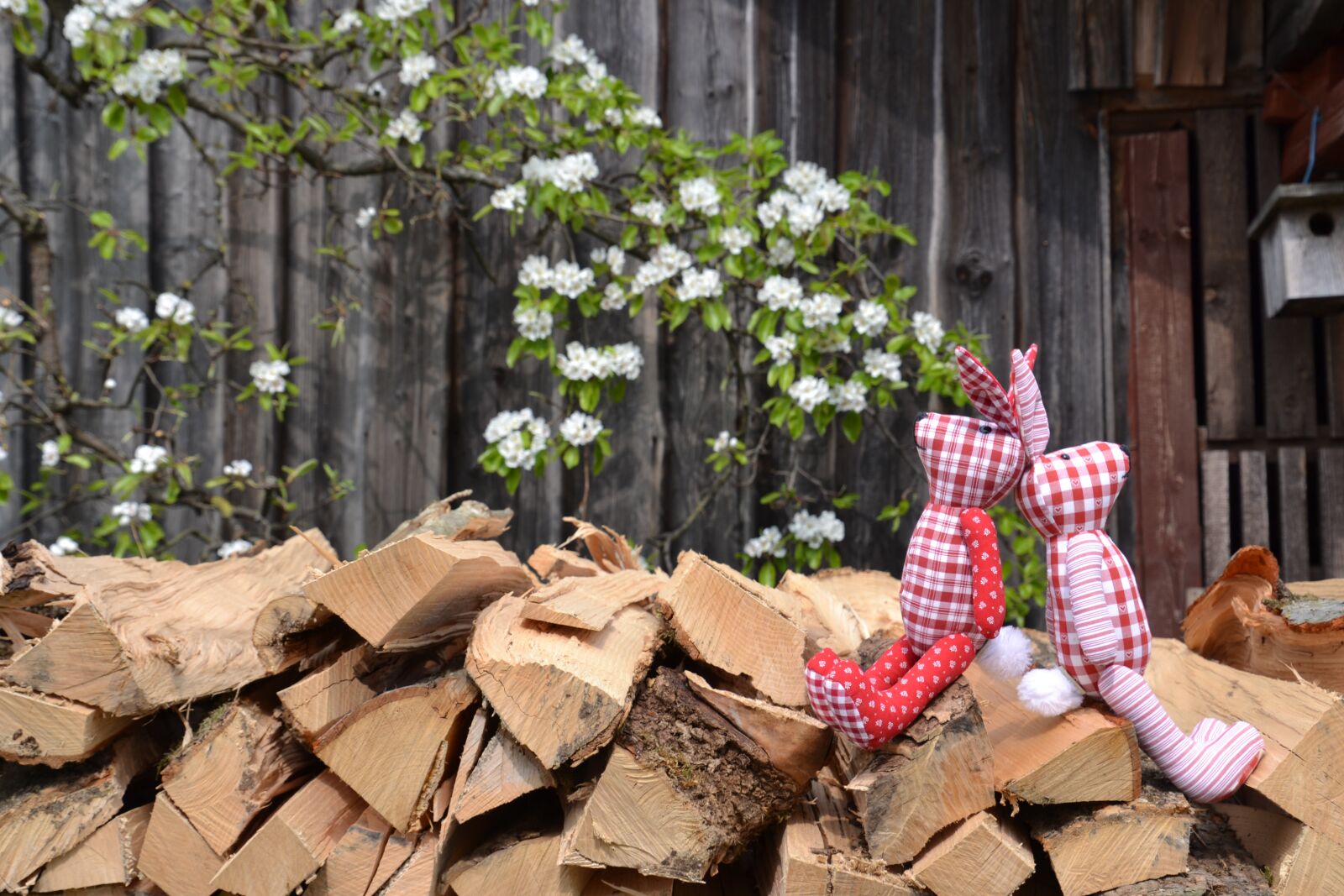 Nikon D3100 sample photo. Rabbit ears, easter bunny photography