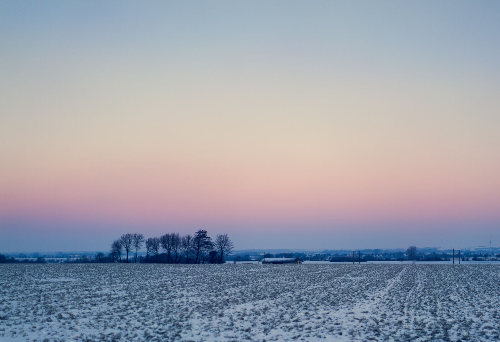 Sony a7R II + Sony Sonnar T* FE 55mm F1.8 ZA sample photo. Cold, dawn, dusk, field photography