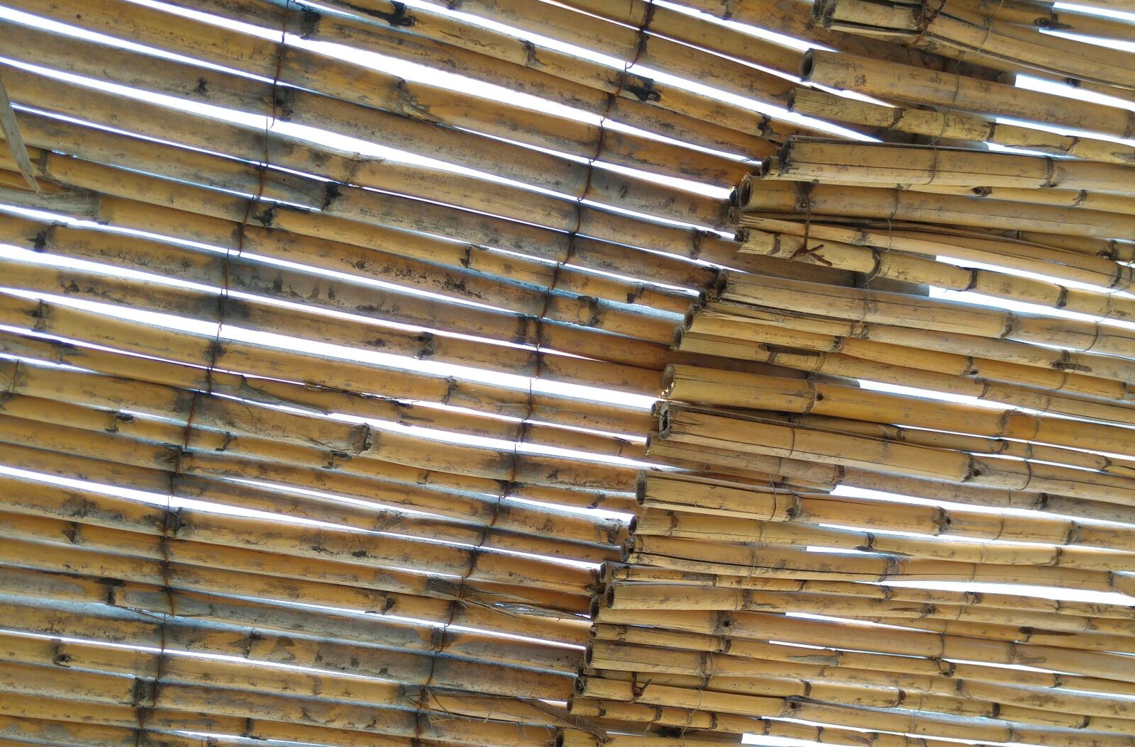 LG G4 sample photo. Bamboo, canopy, gazebo photography
