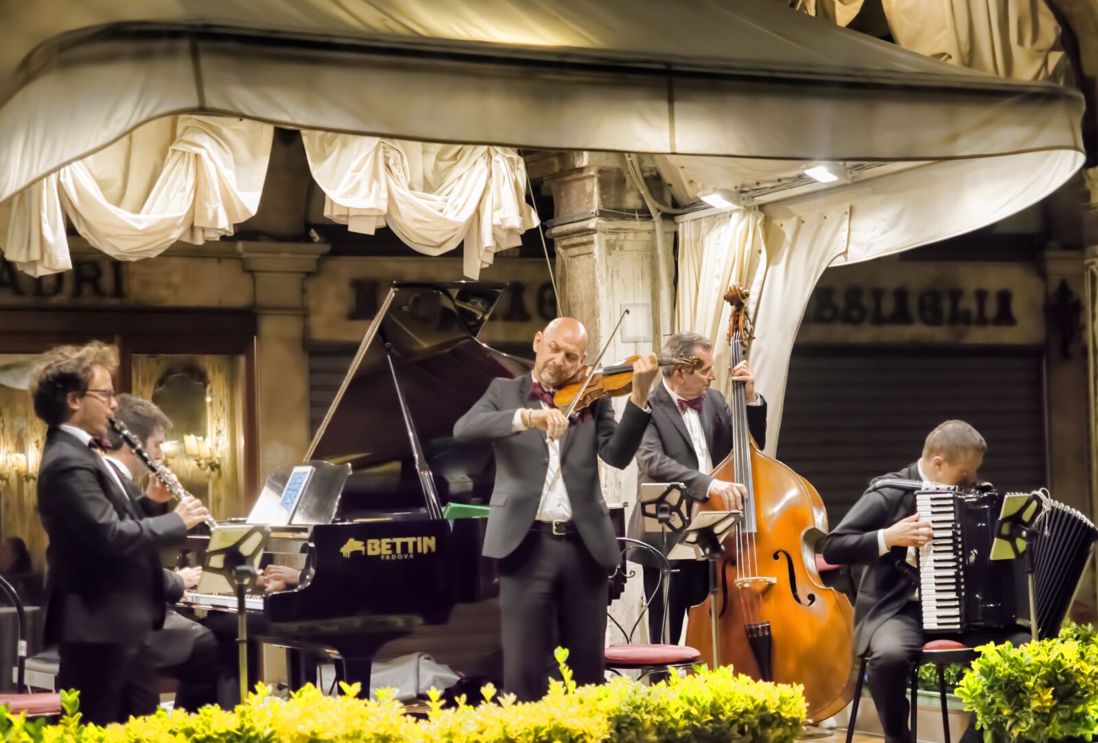 Nikon D800 sample photo. Venice, music, entertainment photography