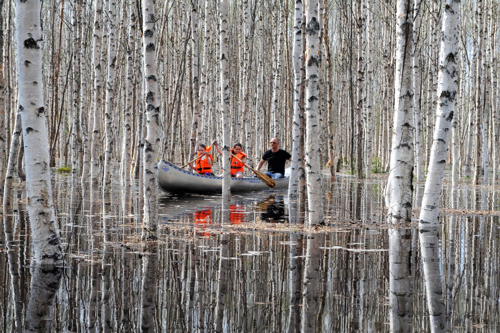 Nikon D3 sample photo. Water, birch, lake photography