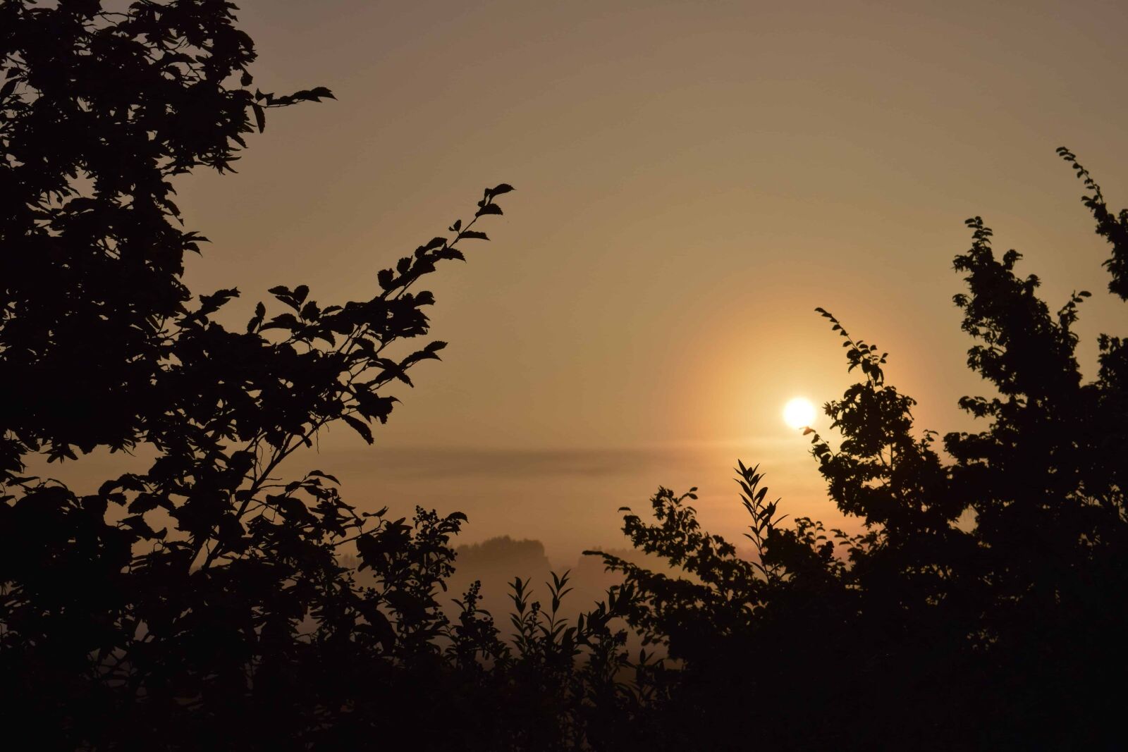 Nikon D3300 sample photo. Landscape, silhouette, sunset, sun photography