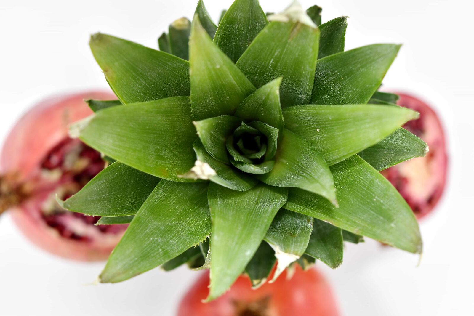 Nikon D5500 sample photo. Green leaves, pineapple, ingredients photography
