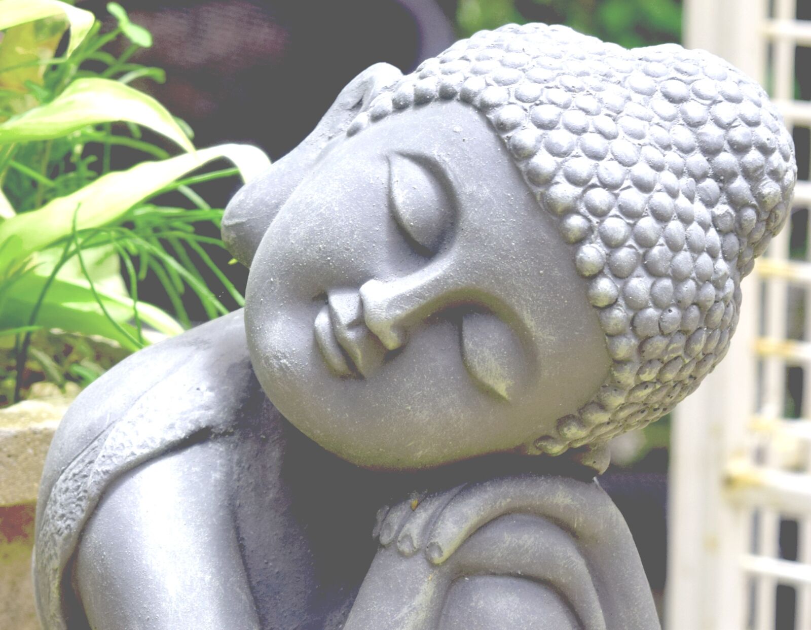 Nikon D3300 sample photo. Buddha, peace, garden photography
