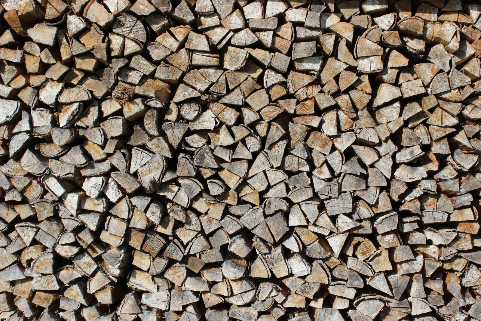 Canon EOS 600D (Rebel EOS T3i / EOS Kiss X5) sample photo. Wood, log, firewood photography