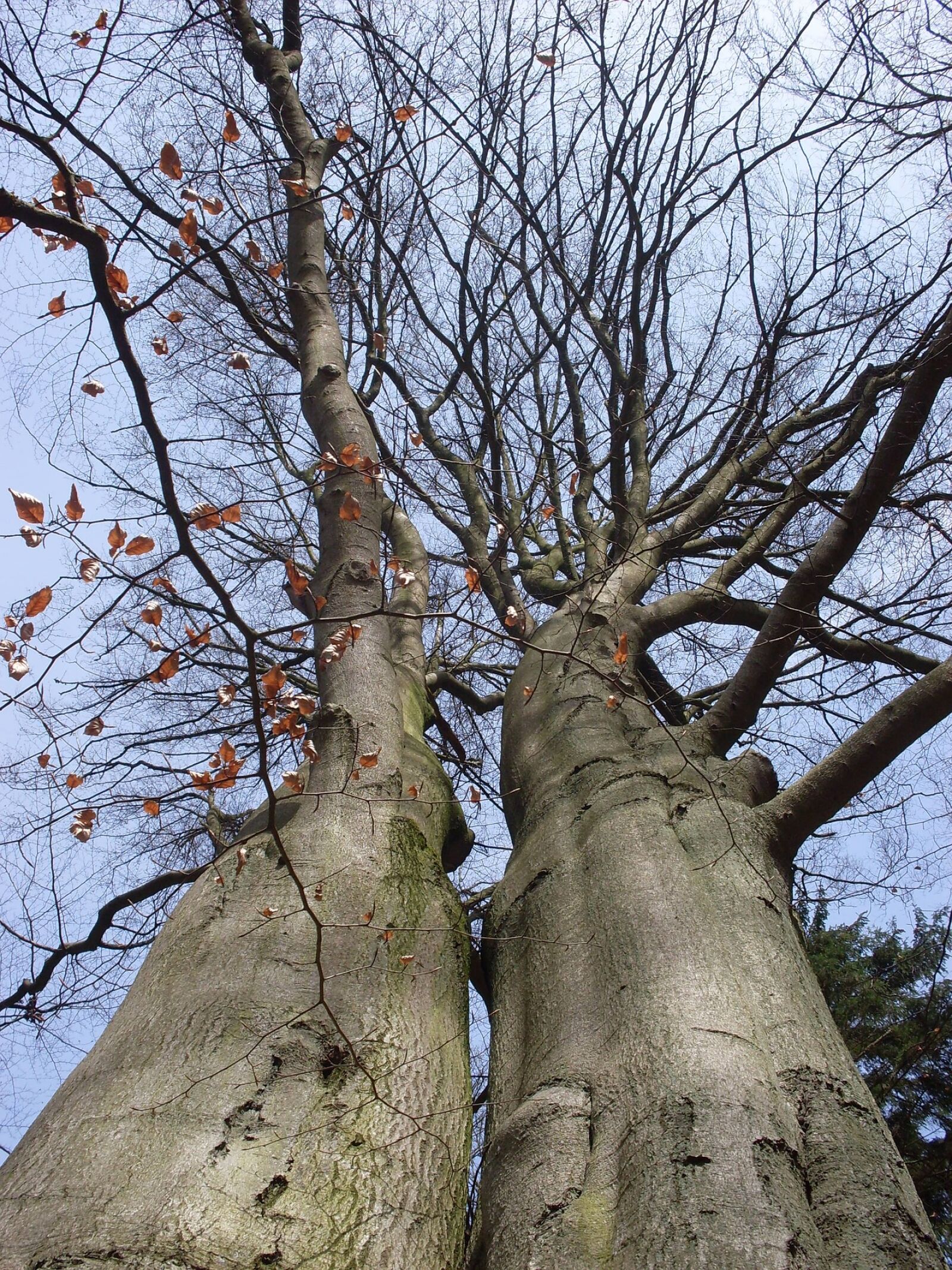 Samsung KENOX S760 / Samsung S760 sample photo - xubswYWQ1a - ExploreCams