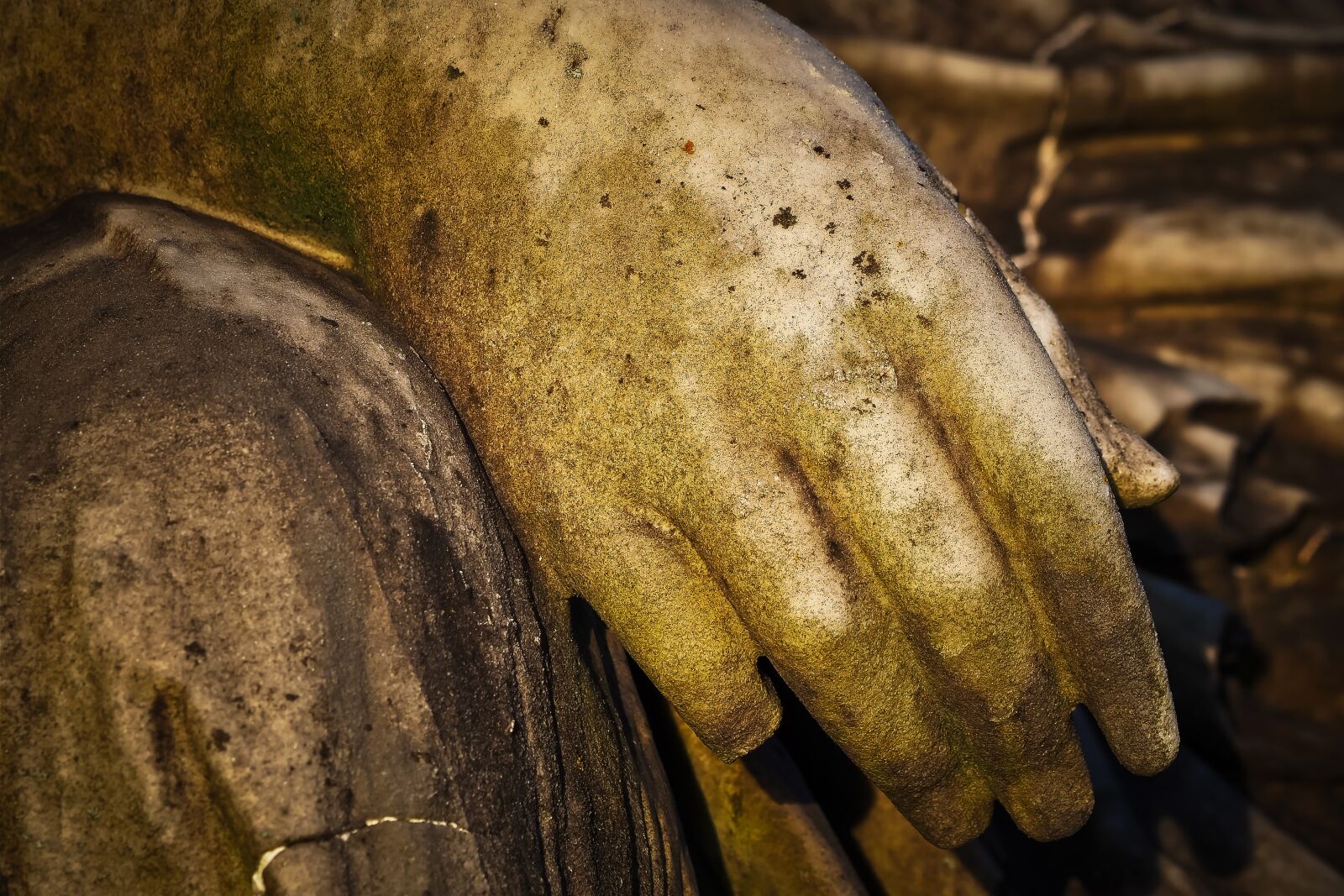 Olympus OM-D E-M10 sample photo. Grave, cemetery, tombstone photography