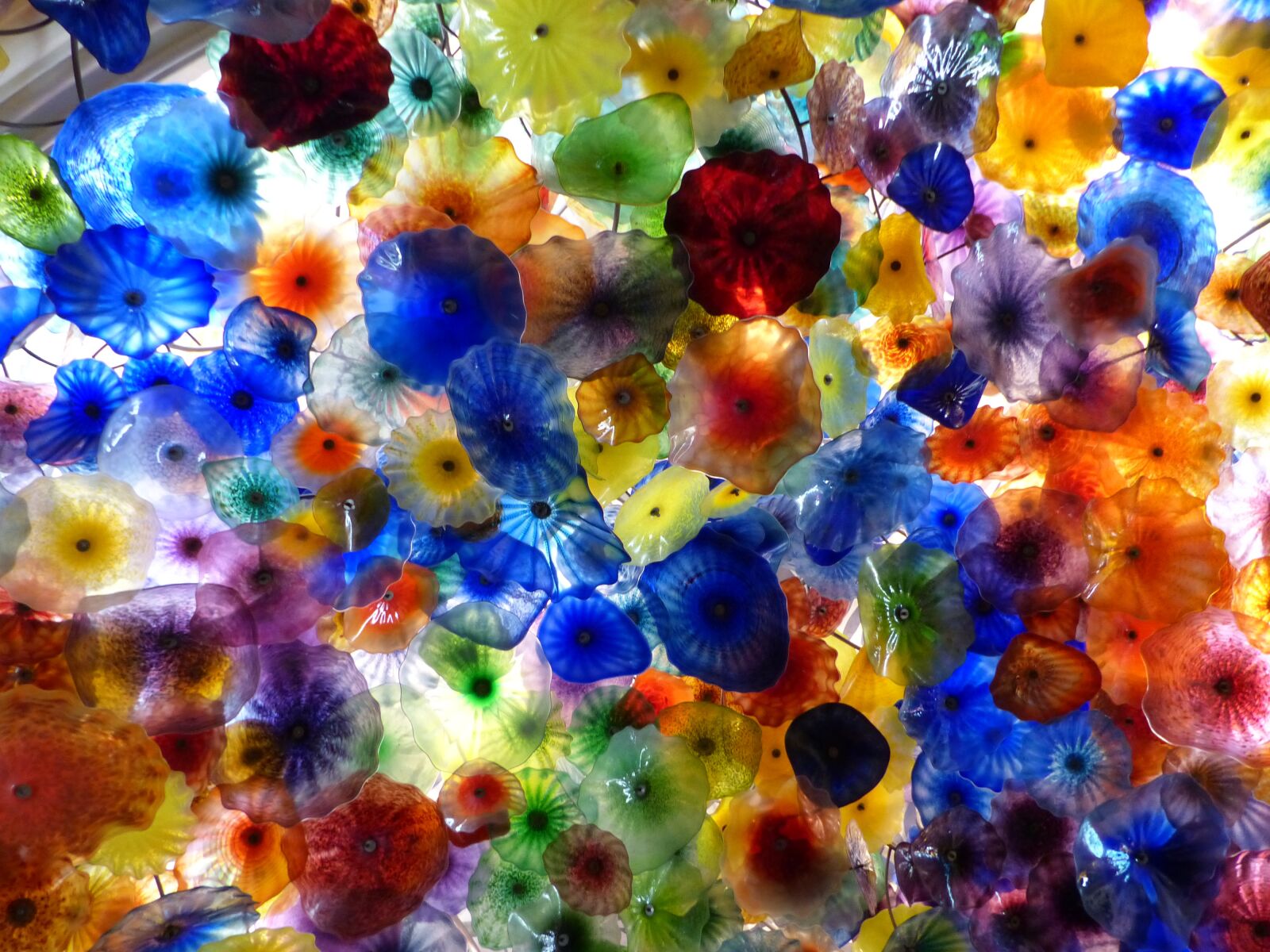 Panasonic Lumix DMC-FZ200 sample photo. Vegas, bellagio, glass art photography
