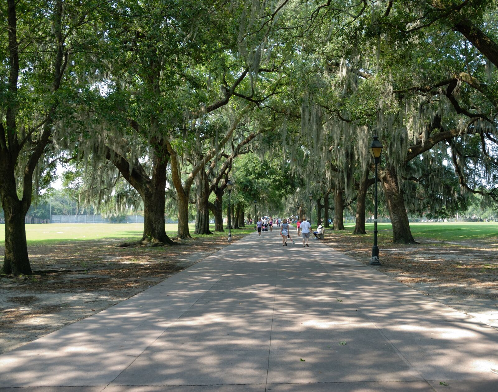 Nikon D200 sample photo. Forsyth park, savannah, georgia photography