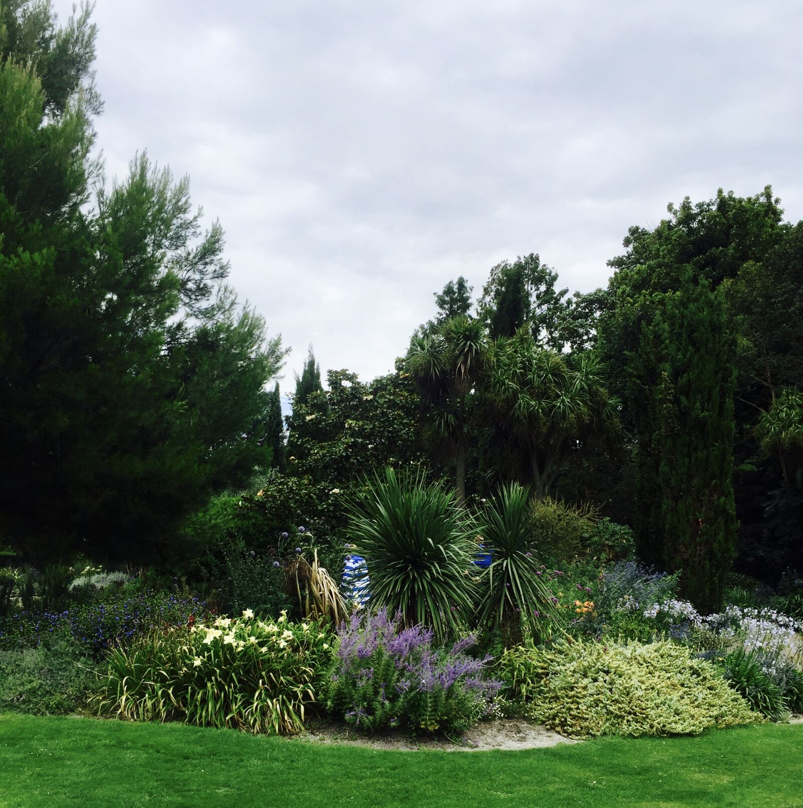 iPhone 6 Plus back camera 4.15mm f/2.2 sample photo. Nature, park photography