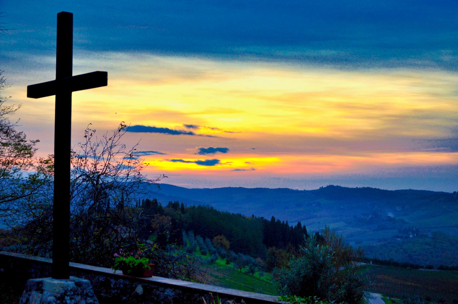 Nikon D5000 sample photo. Campaign, nature, agriculture photography