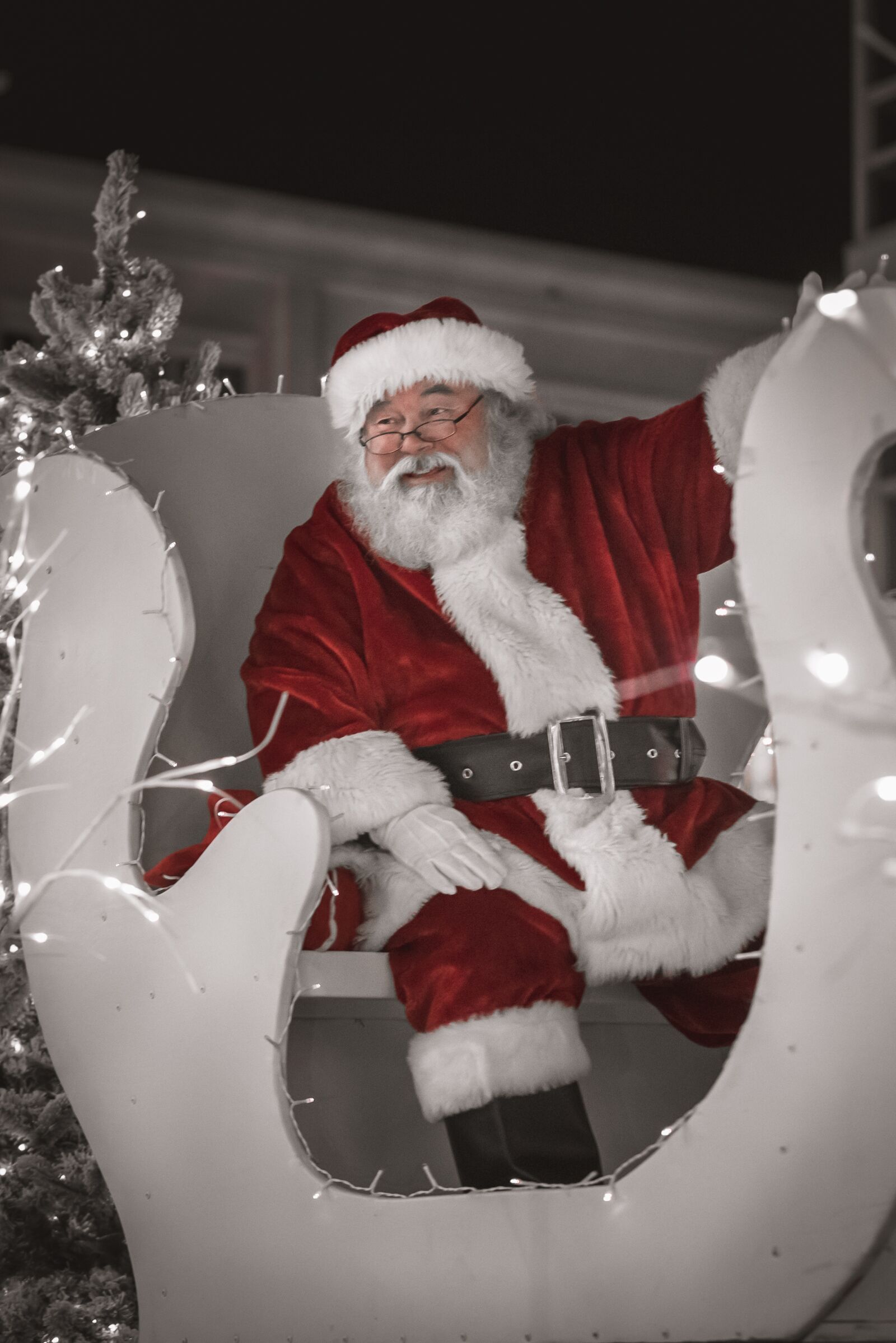 Nikon D750 sample photo. Christmas, december, beard photography