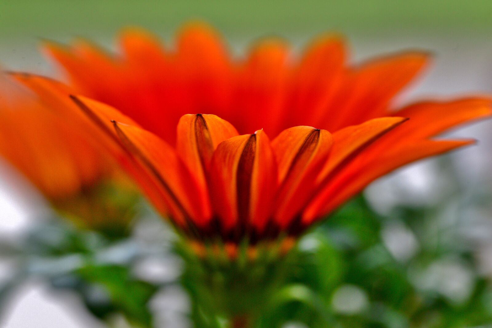 Nikon D600 sample photo - xuzvZf8EaV - ExploreCams