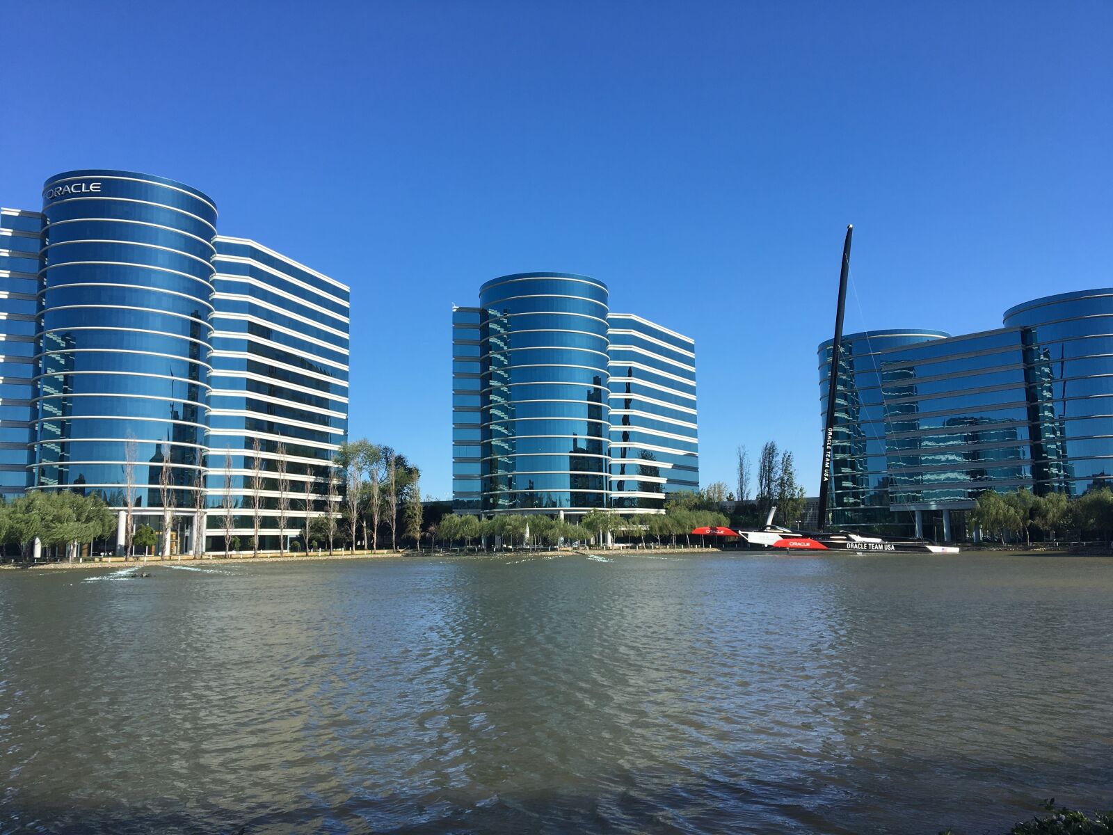 iPhone 6s back camera 4.15mm f/2.2 sample photo. Oracle, bay area, san photography