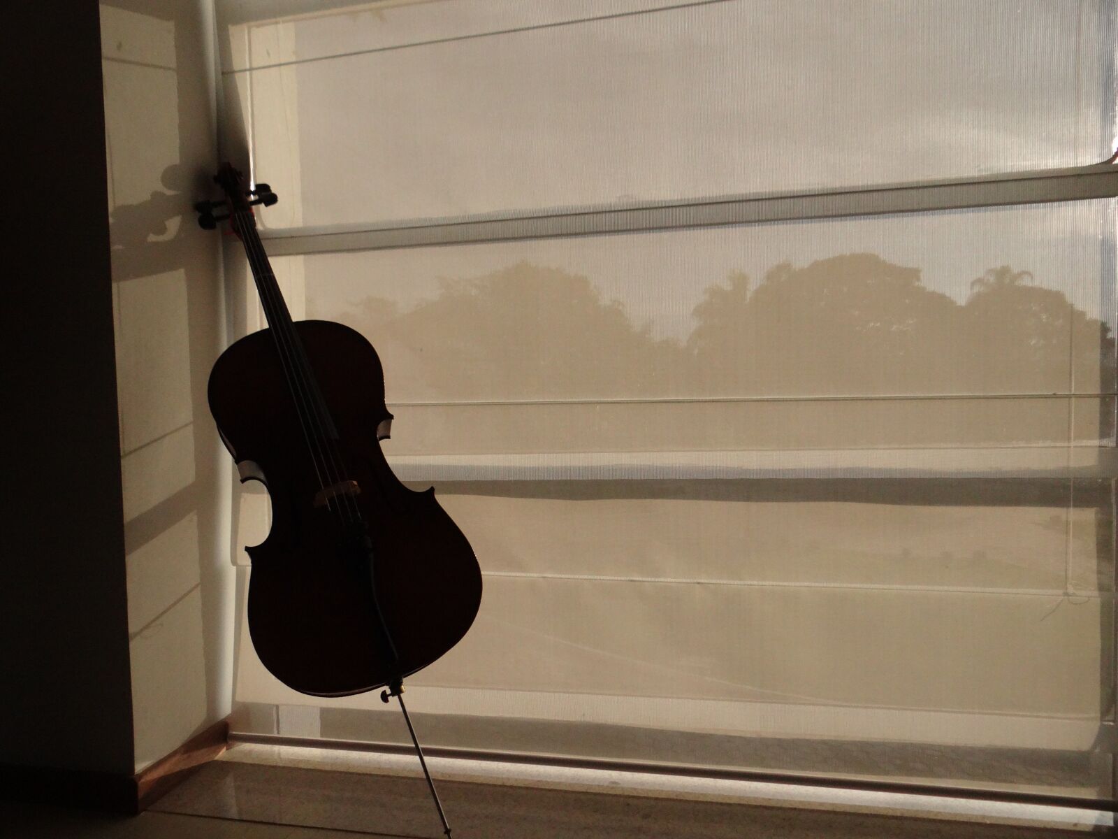 Sony DSC-HX200V sample photo. Music, cello, the cello photography