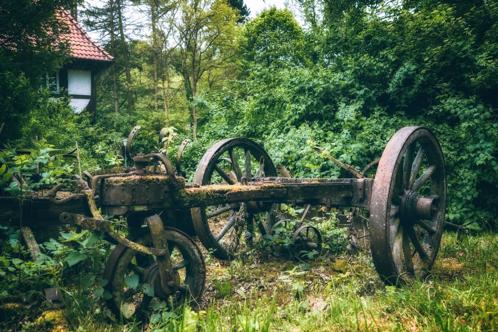 Nikon Z6 sample photo. Cart, dare, wooden cart photography