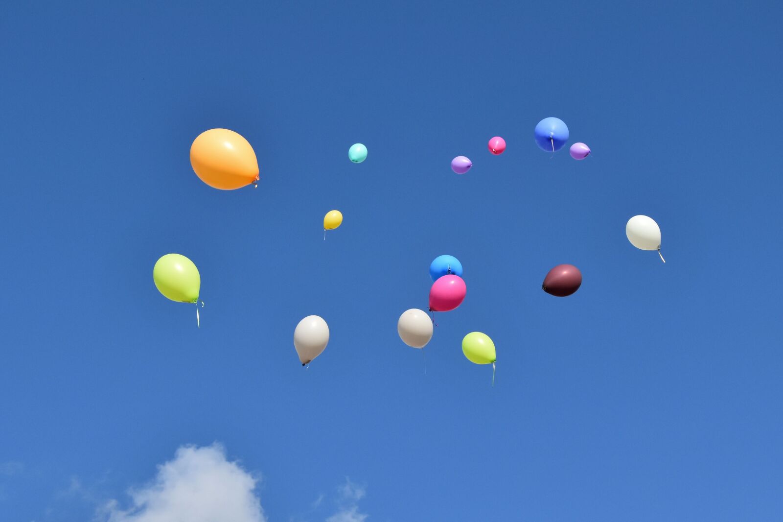 Nikon D5600 sample photo. Balloons, sky, romantic photography
