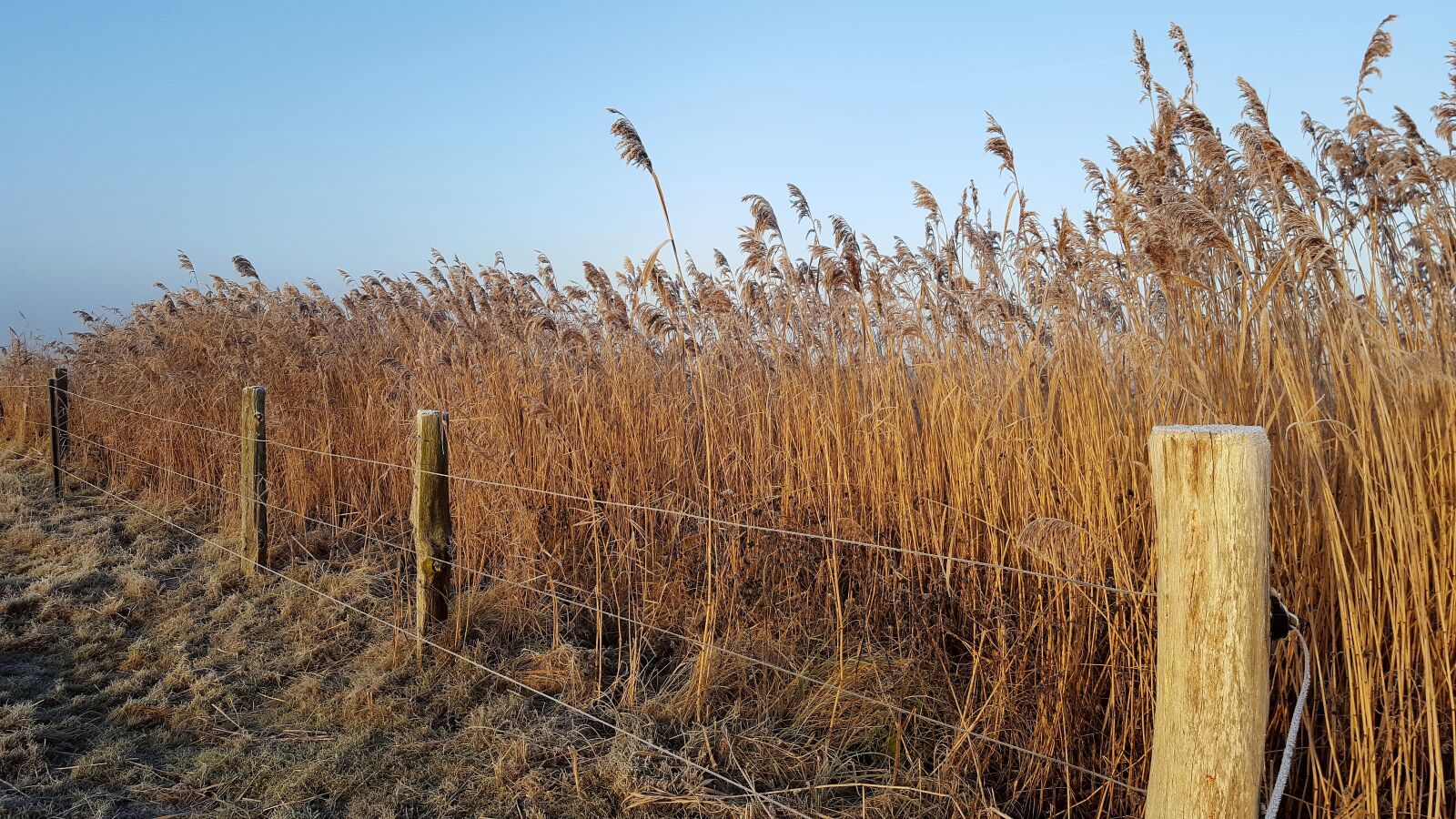Samsung GALAXY S6 edge sample photo. Winter, borkum, fence photography