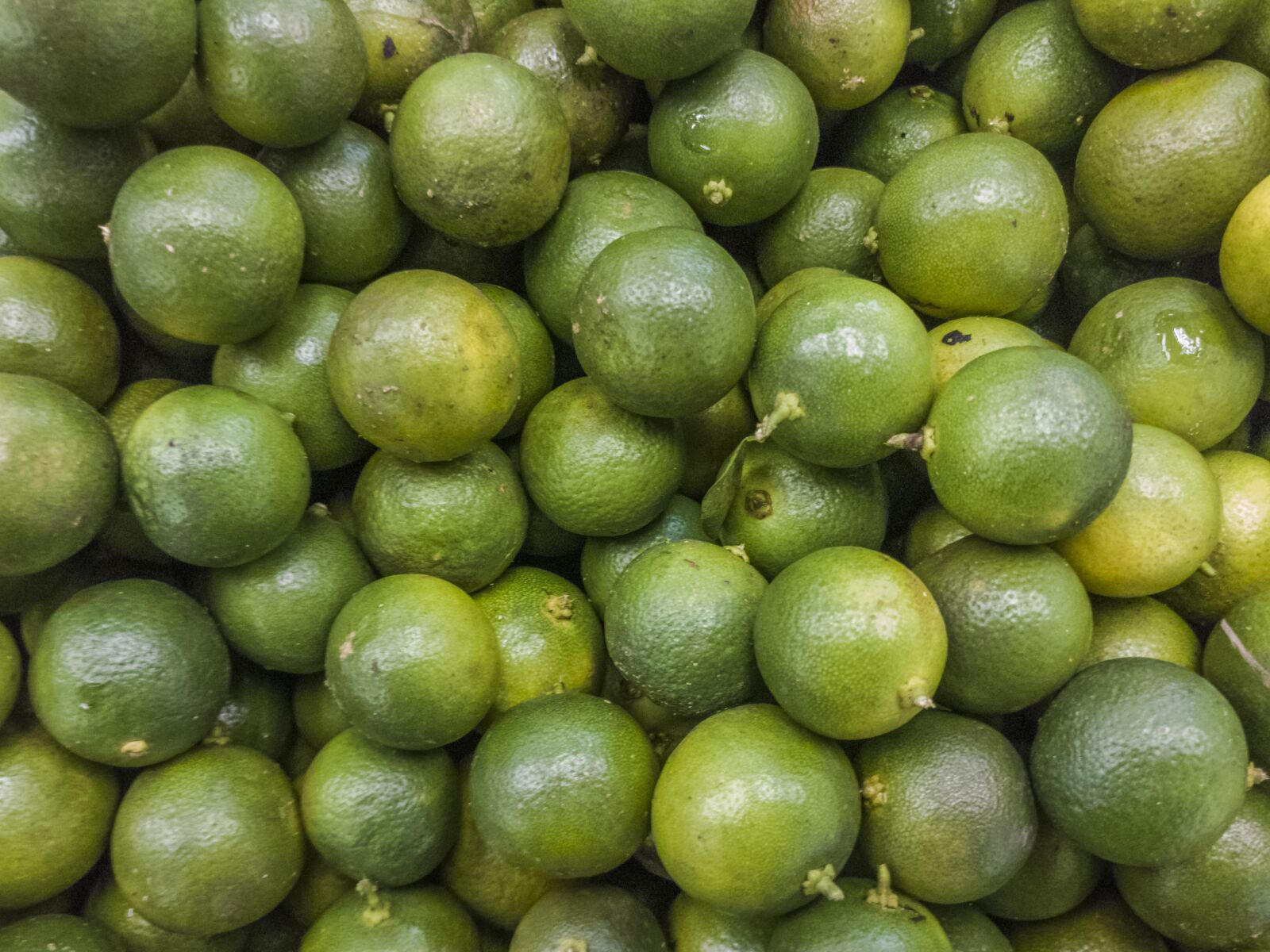 OnePlus A3000 sample photo. Lime, green, vegetable photography