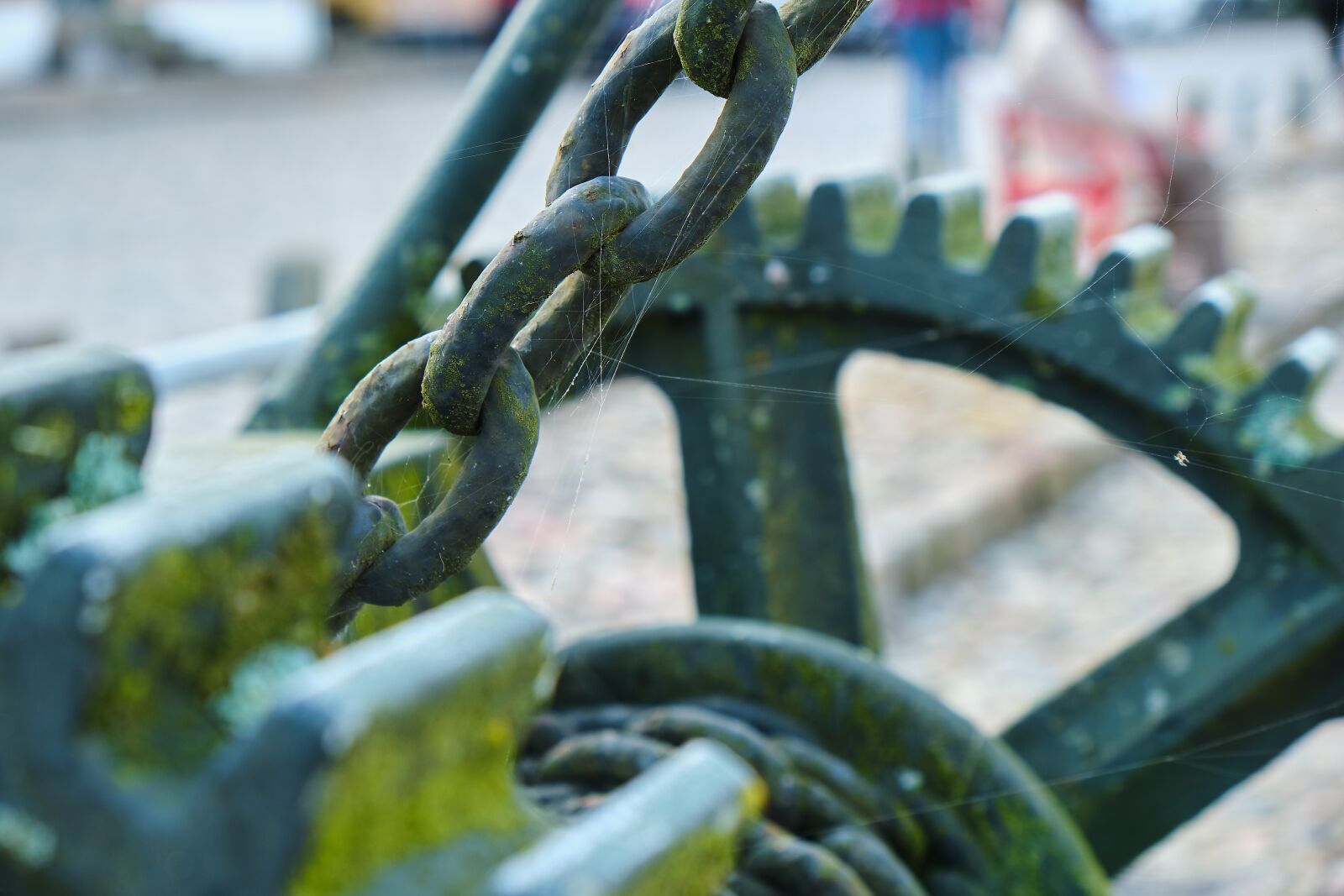Fujifilm XF 18-55mm F2.8-4 R LM OIS sample photo. Gear, old, moss photography