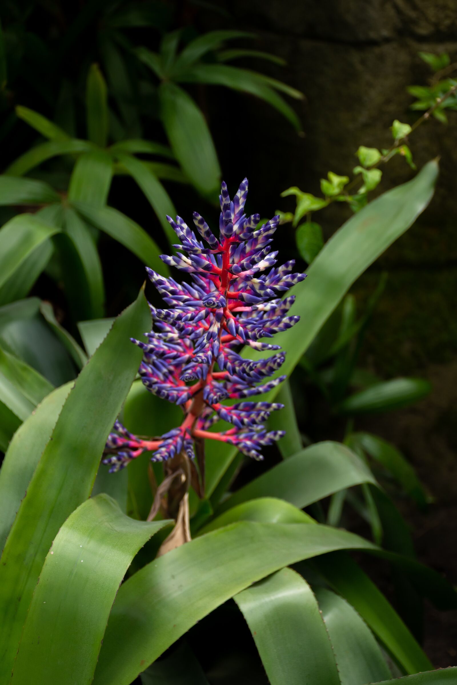Nikon D7200 sample photo. Nature, flower, spring photography