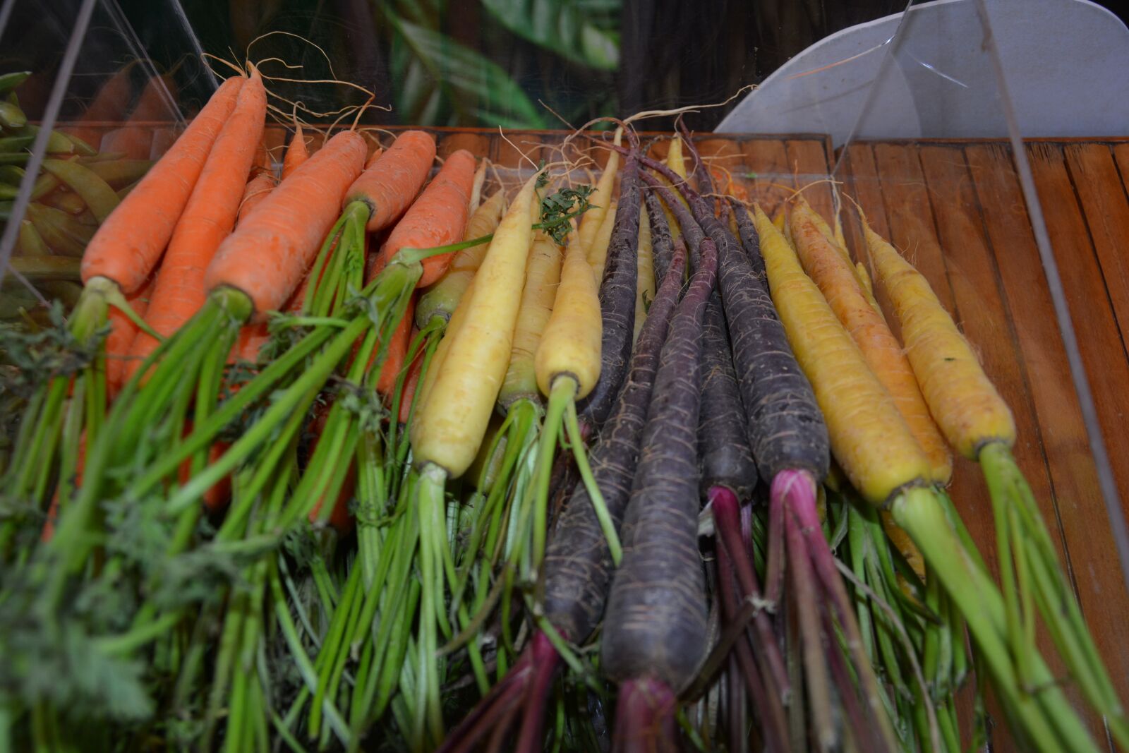Nikon D7100 sample photo. Carrots, mini plant, vegetables photography