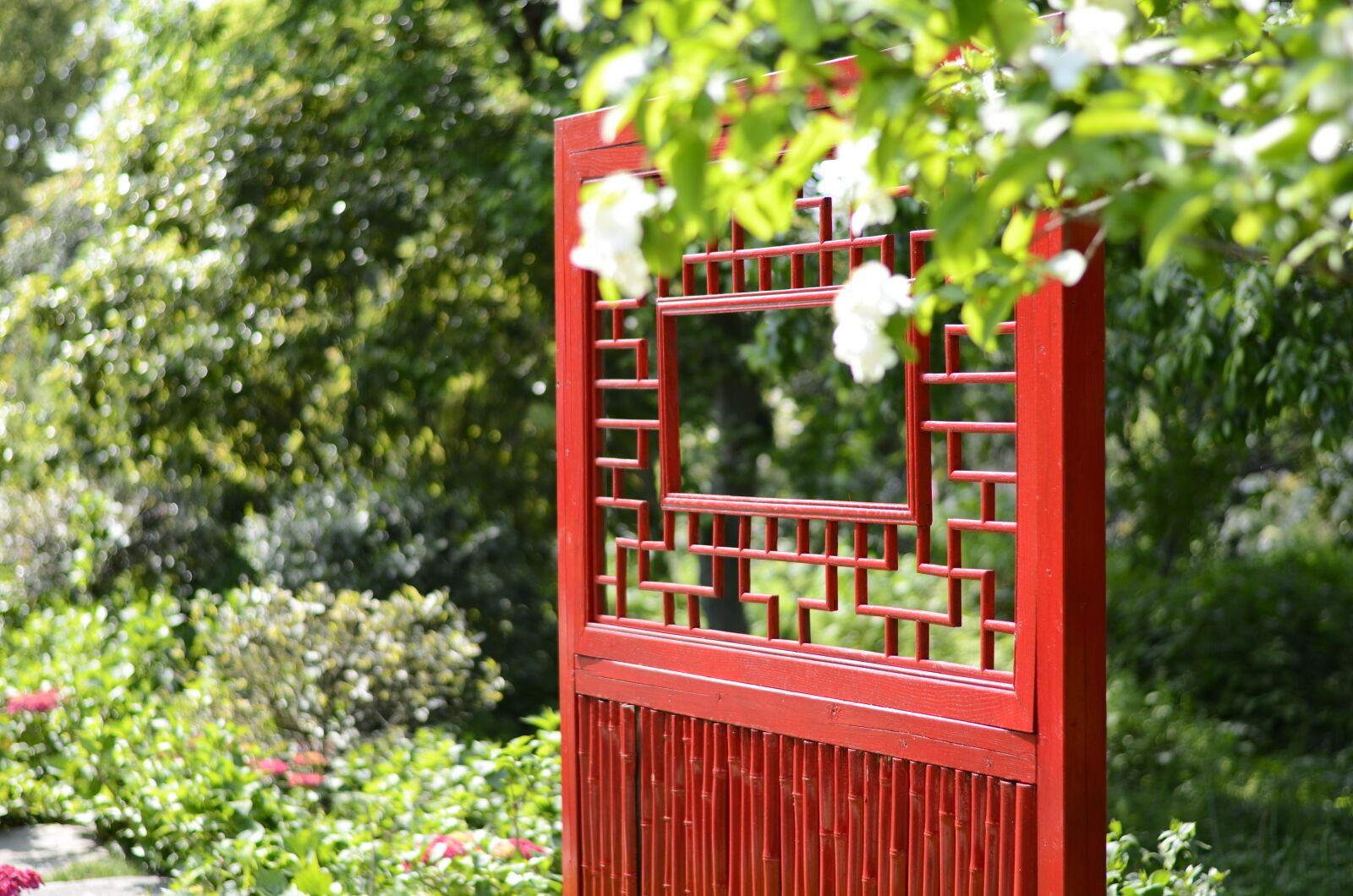 Nikon D5100 sample photo. Door, flower, tree photography