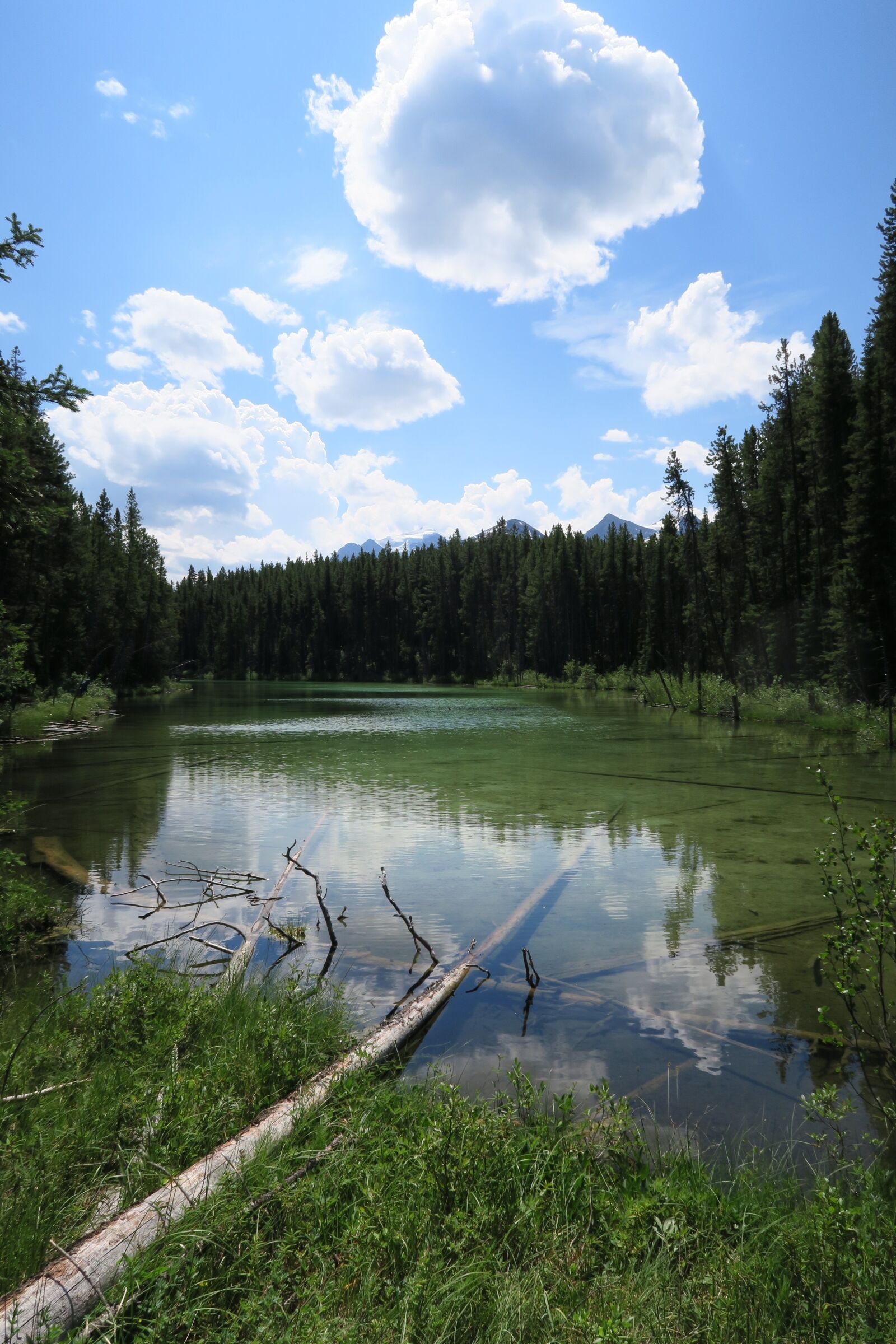 Canon PowerShot G7 X sample photo. Canada, lake, forest photography