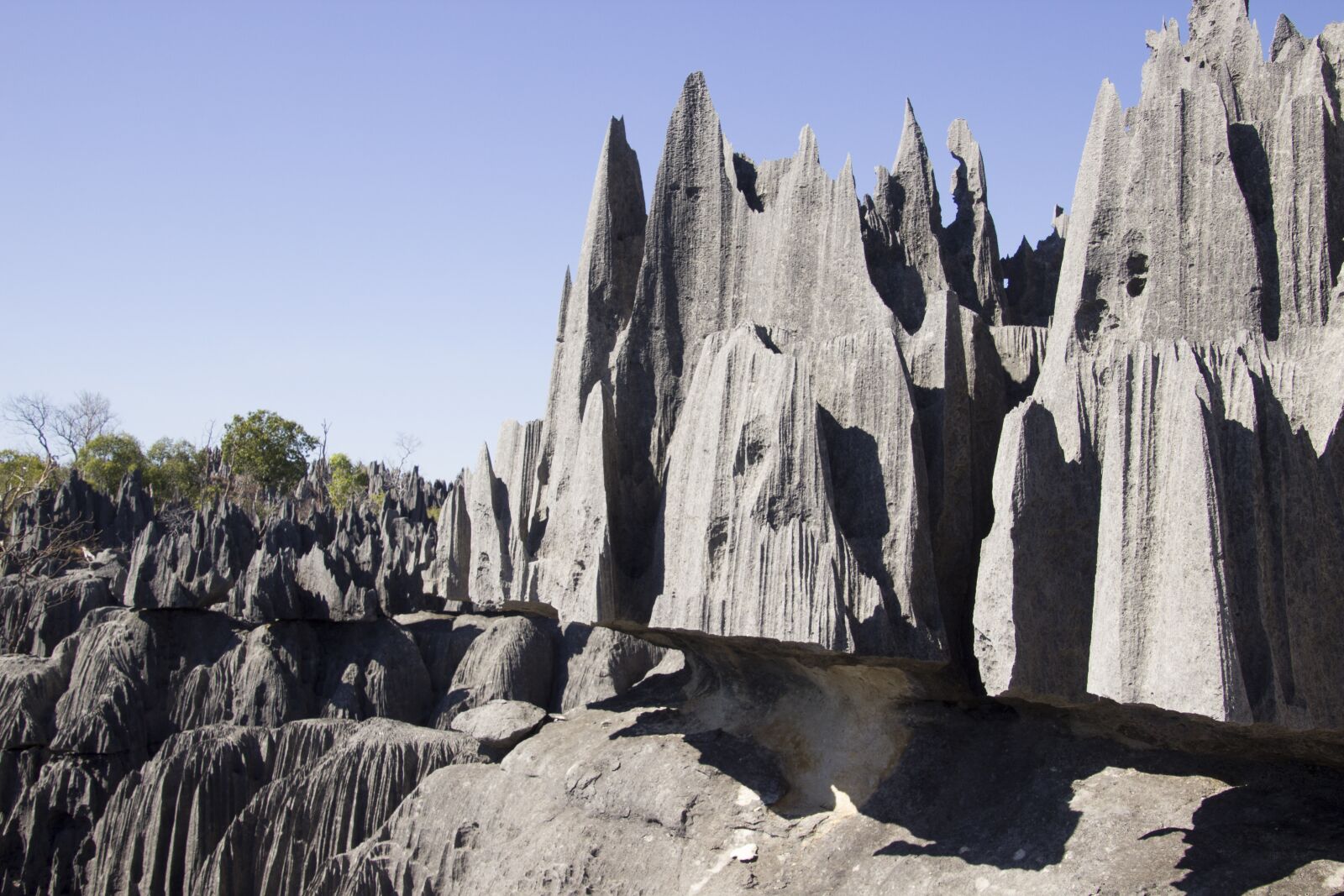 Canon EOS 600D (Rebel EOS T3i / EOS Kiss X5) sample photo. Tsingy, madagascar, africa photography