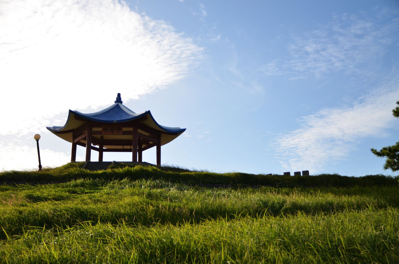 Nikon D5100 sample photo. Jeju, excellent salary, hill photography