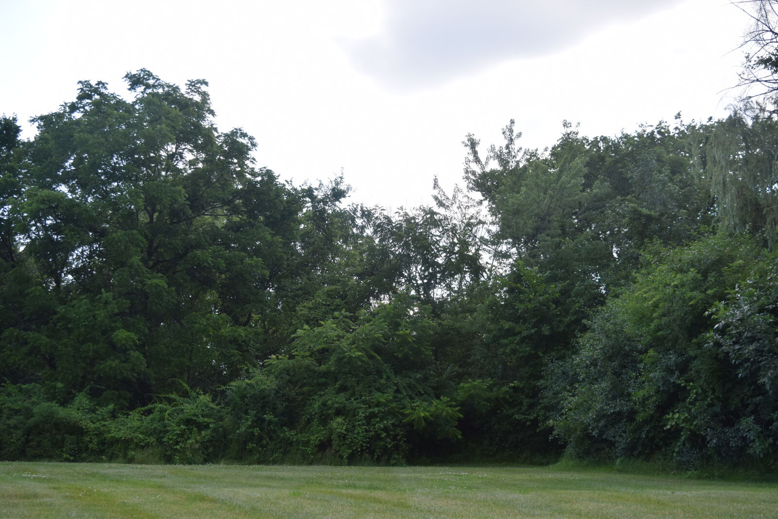Nikon D3300 sample photo