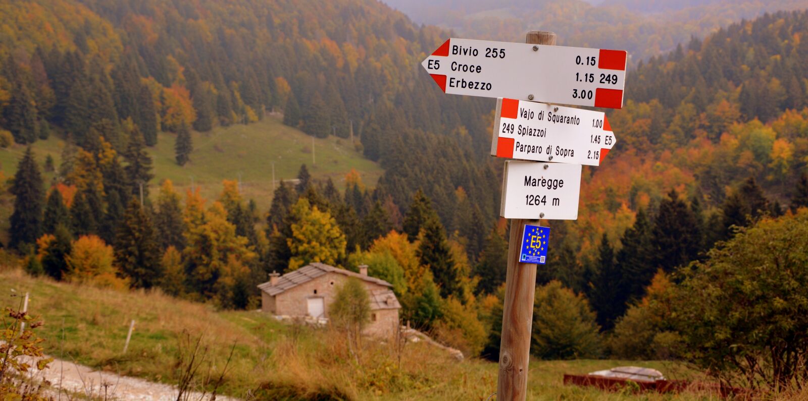 Nikon D7100 sample photo. Signal, crossroads, excursion photography