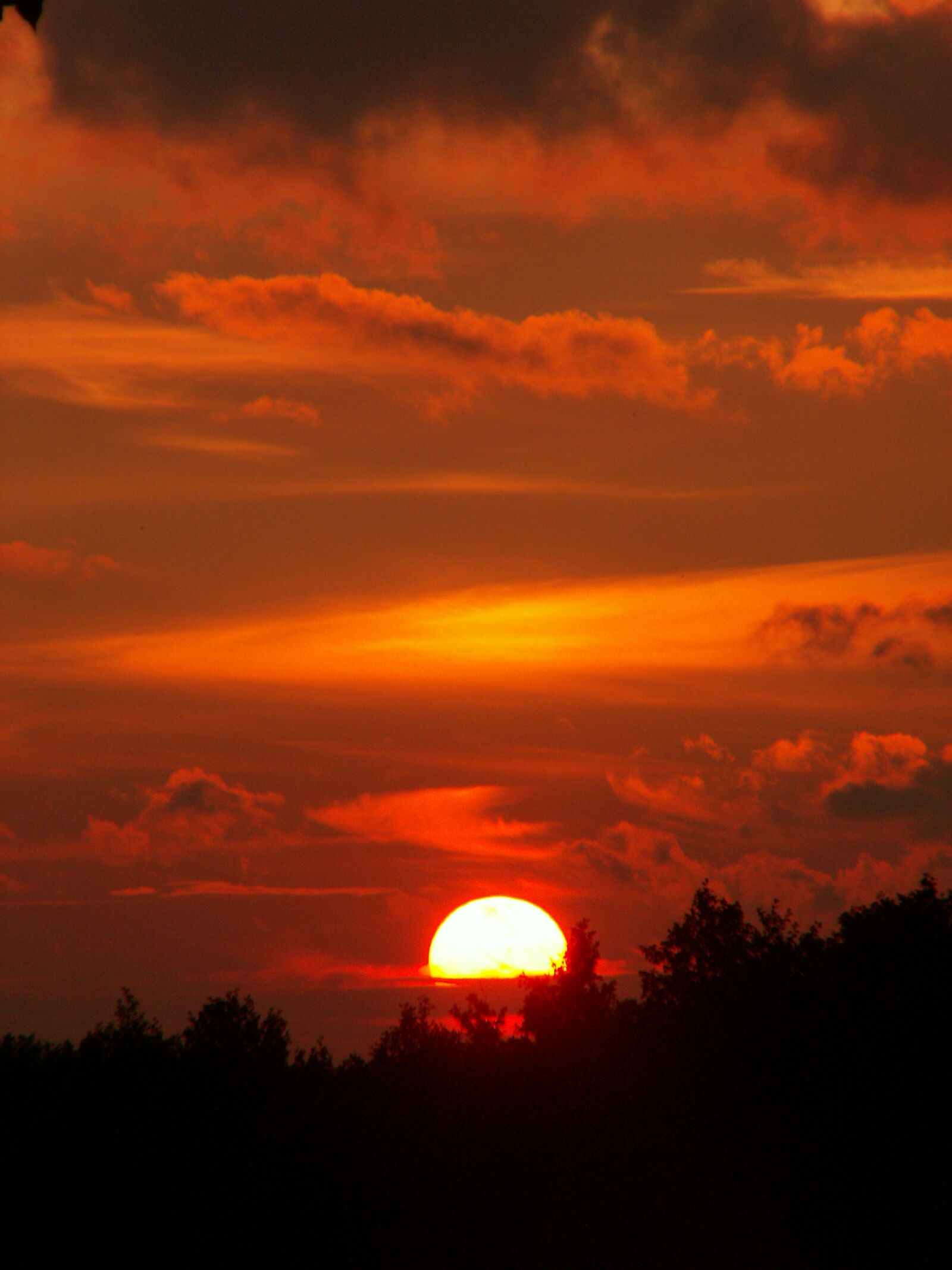 KONICA MINOLTA DiMAGE Z5 sample photo. Sunset, the sun, at photography