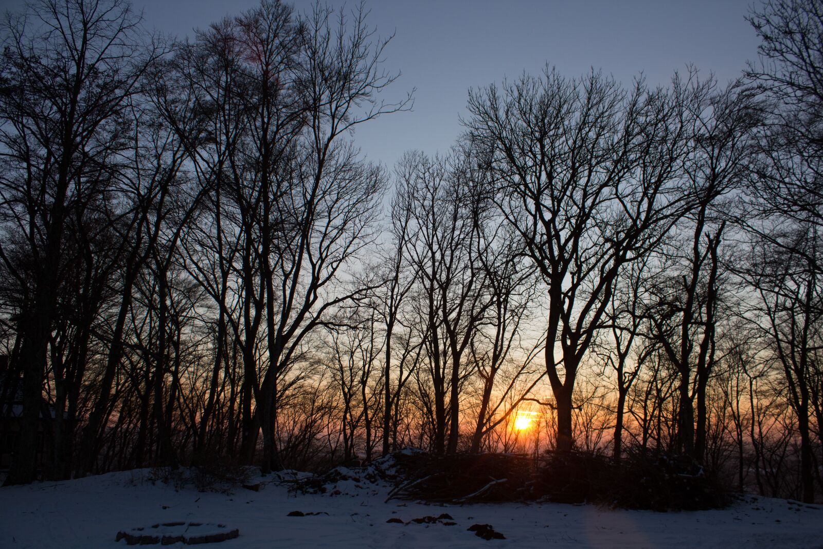 Canon EOS 600D (Rebel EOS T3i / EOS Kiss X5) sample photo. Sunset, tree, landscape photography