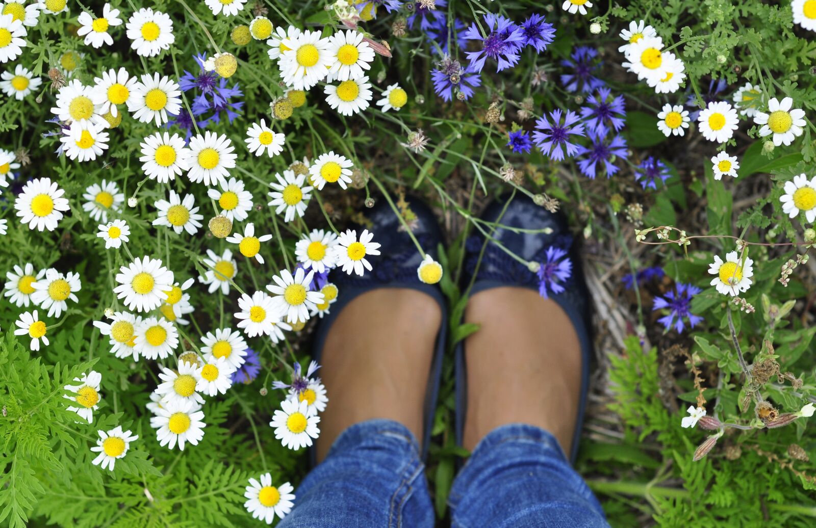 Nikon D90 sample photo. Spring, flowers, feet photography