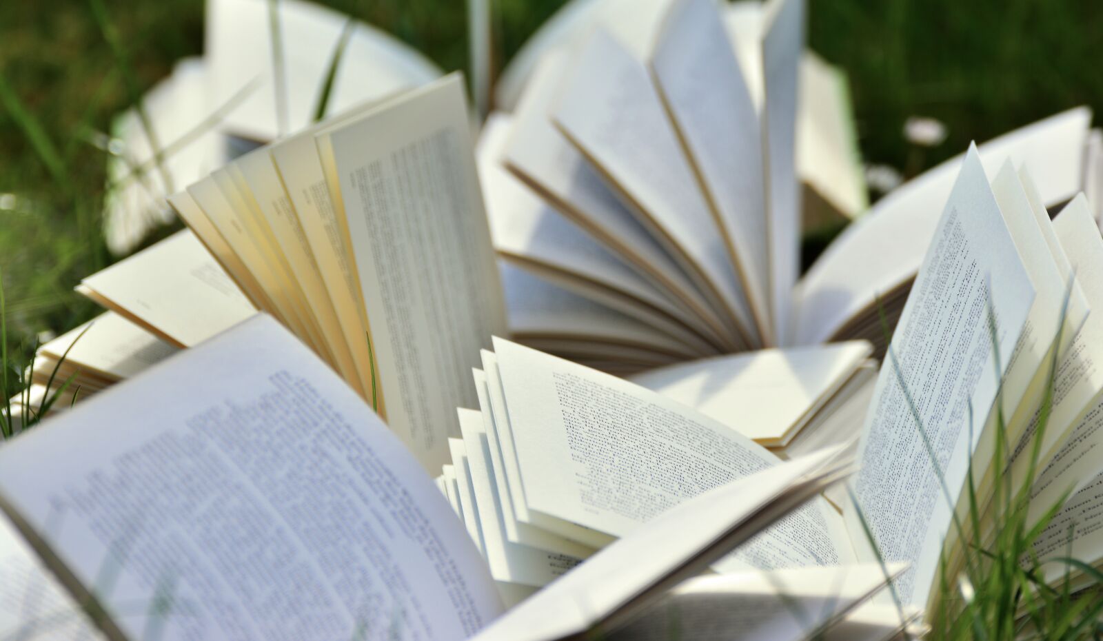 Nikon D5200 sample photo. Books, book pages, pitched photography
