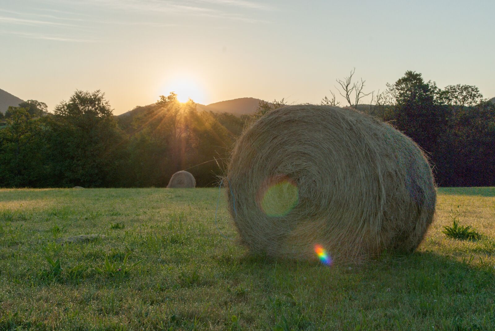 Nikon D80 sample photo. Fields, field, prairie photography