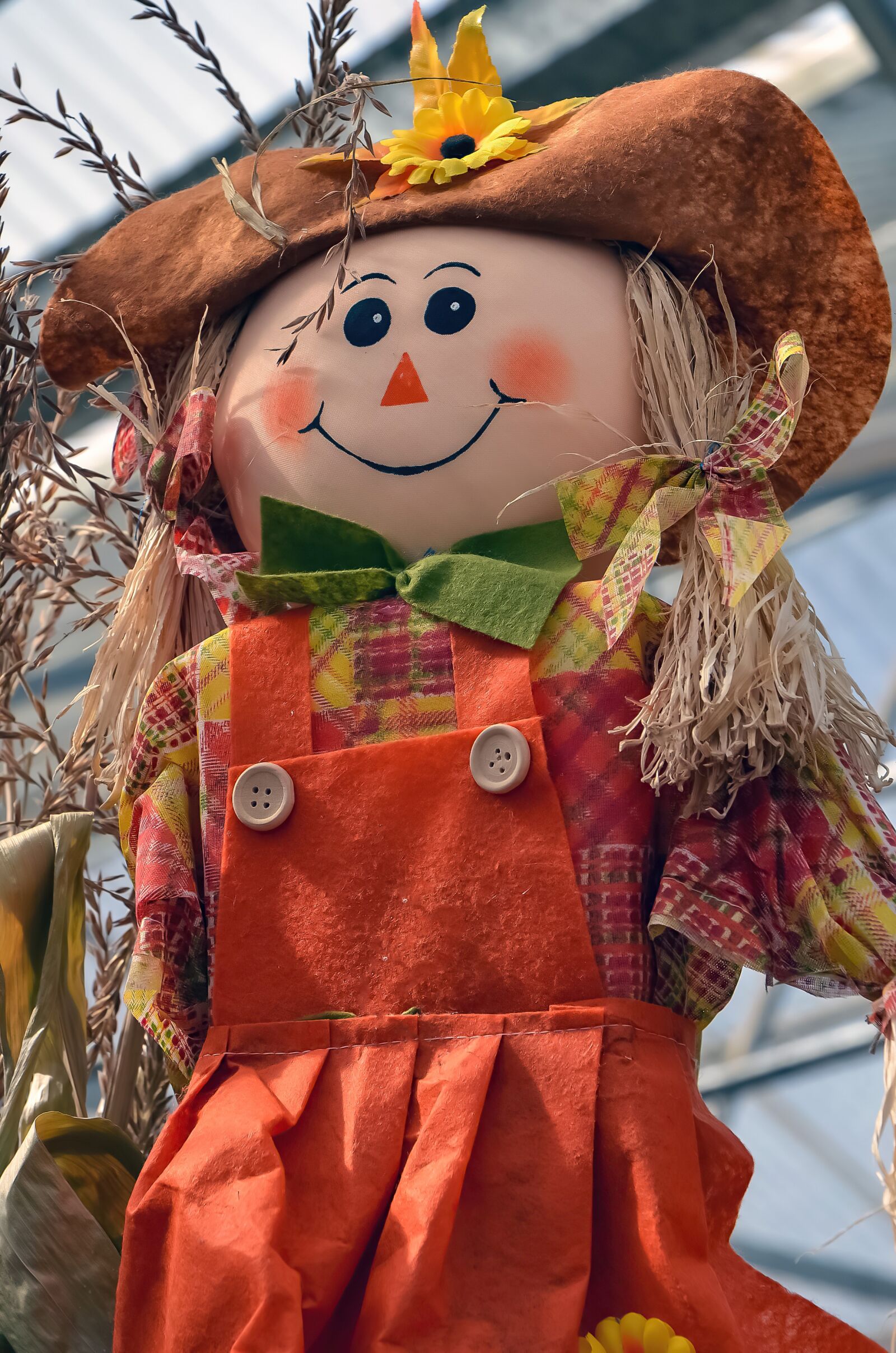 Nikon D5100 sample photo. Scarecrow, autumn, fall photography