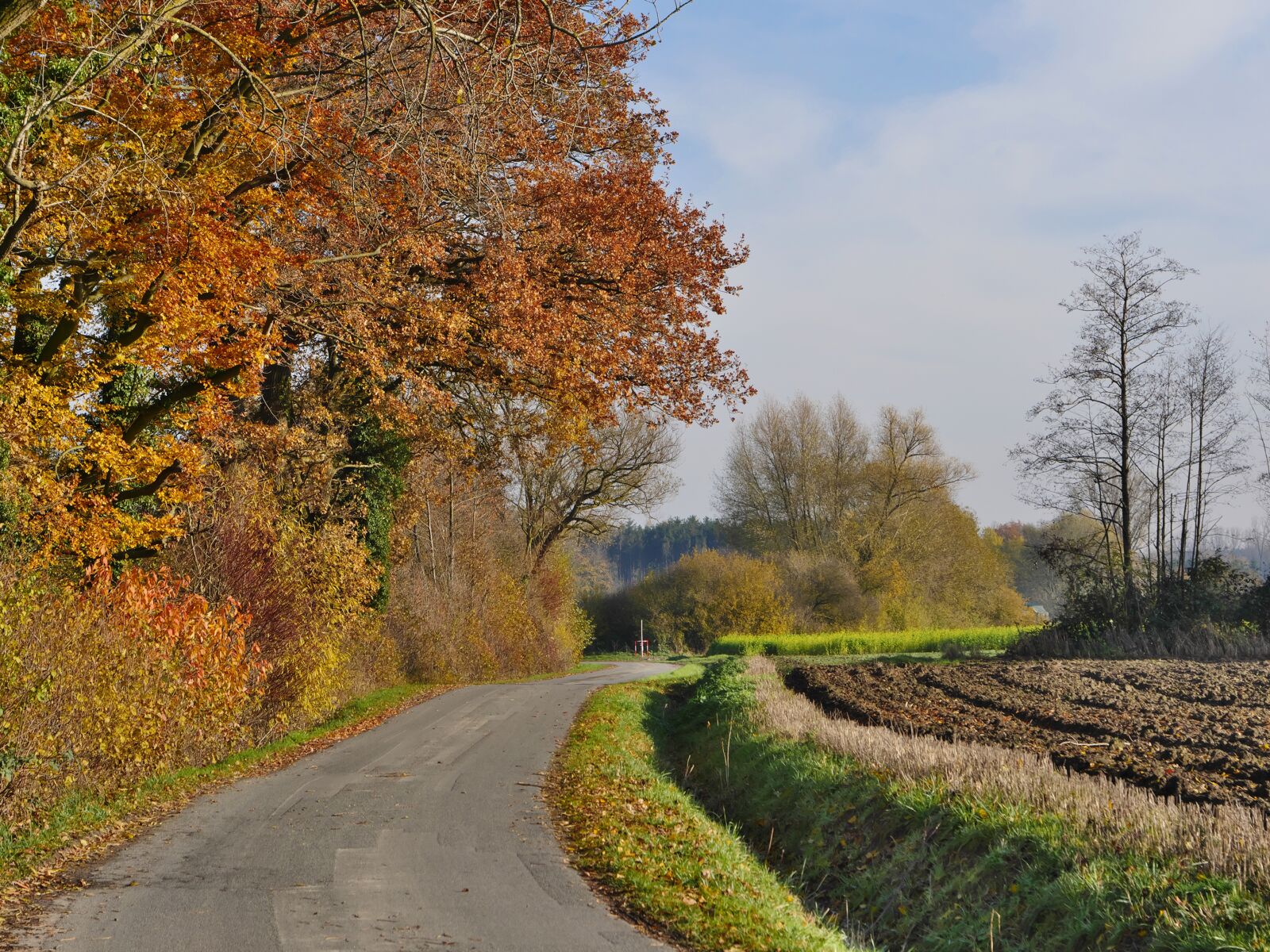Panasonic Lumix DMC-GX8 sample photo. Late autumn, sunny, m photography
