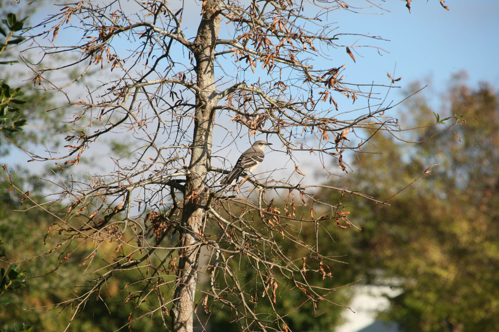 Canon EOS 5D sample photo