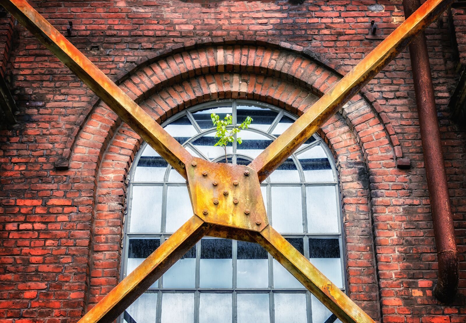 Nikon D3300 sample photo. Lost places, window, factory photography