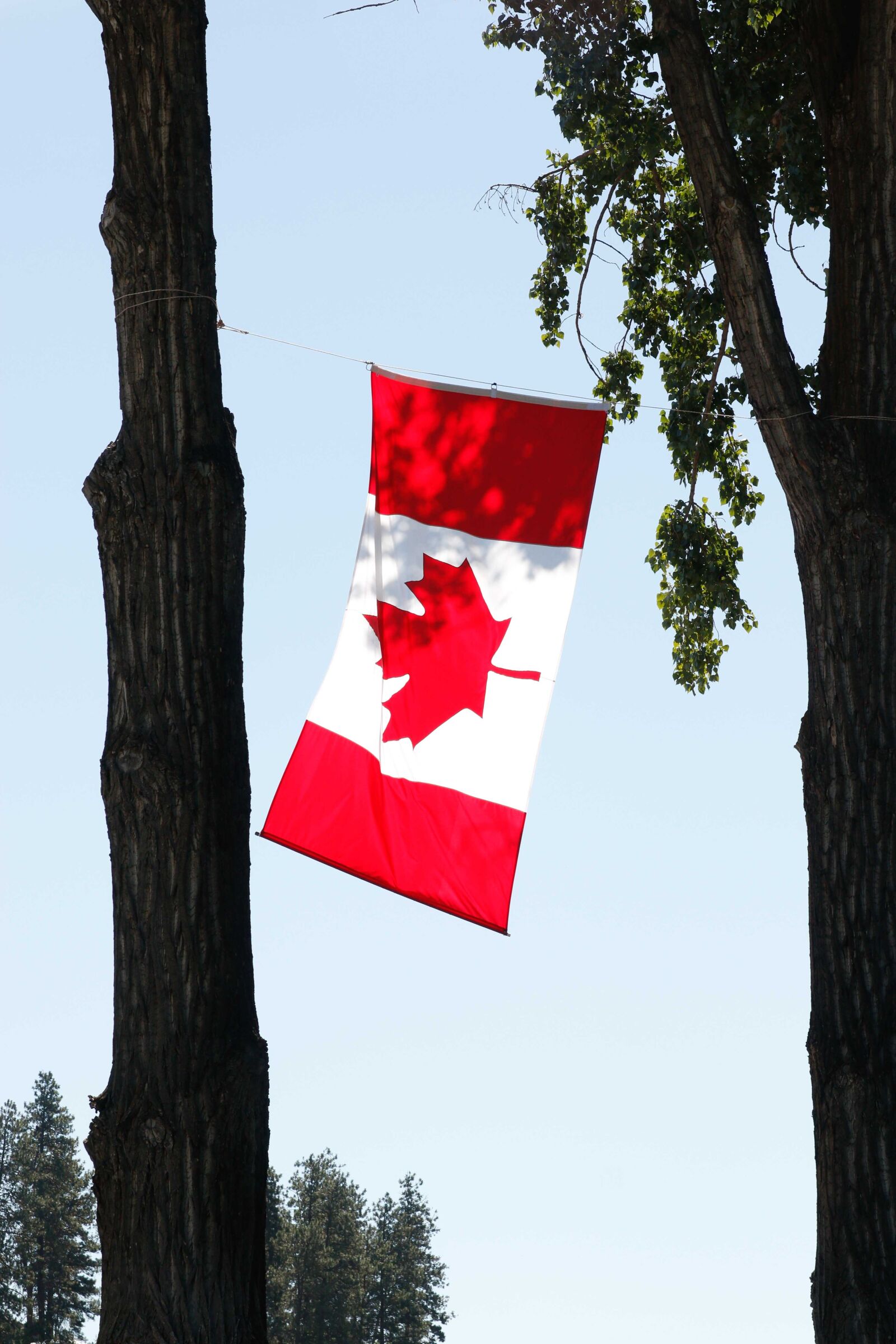 Canon EOS 70D sample photo. Canada day, canada, canadian photography