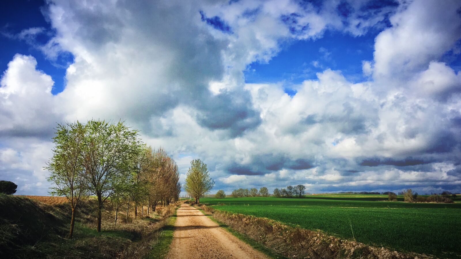 Apple iPhone 6s sample photo. Clouds, road, trees photography