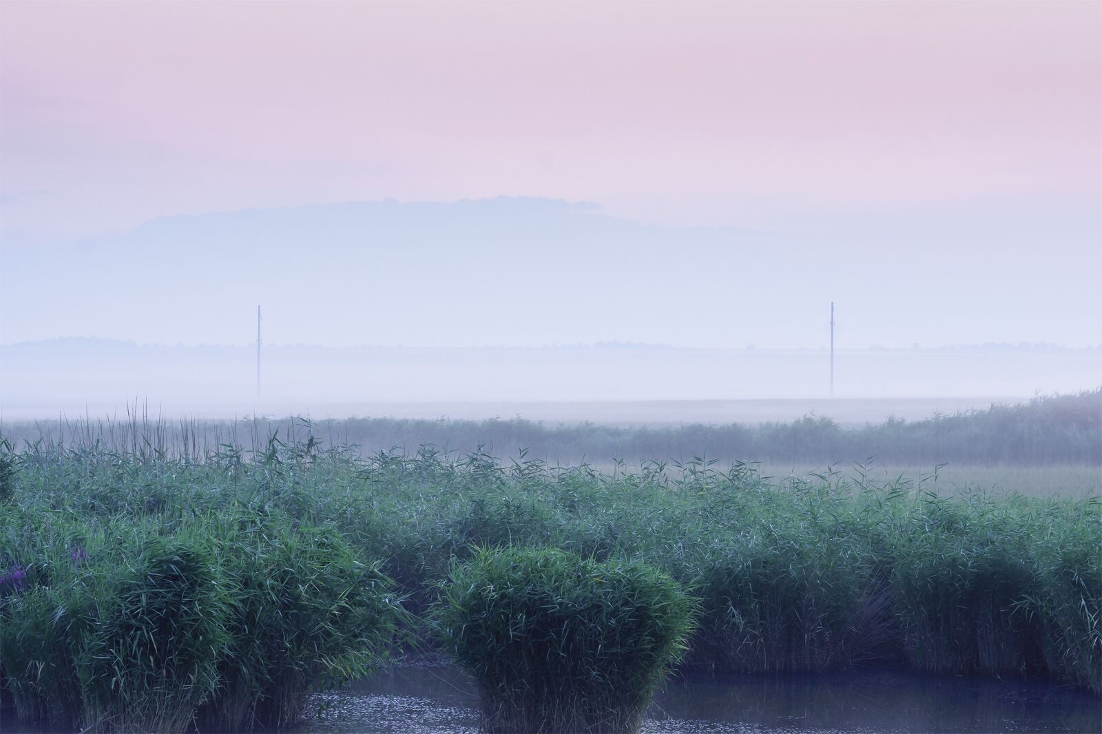 85mm F1.4 sample photo. Lake, dawn, nature photography