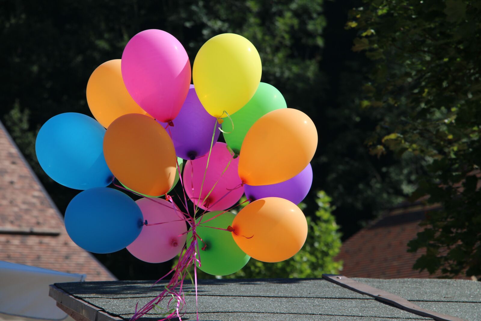 Canon EOS 70D sample photo. Balloons, color, celebration photography
