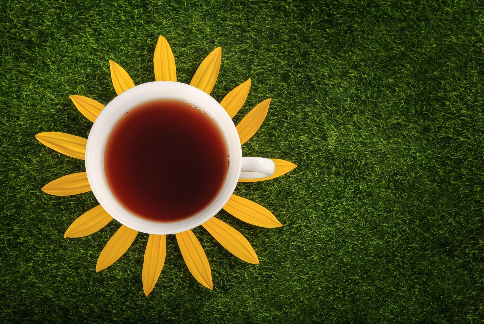 Nikon D5000 sample photo. Tea, cup, grass photography