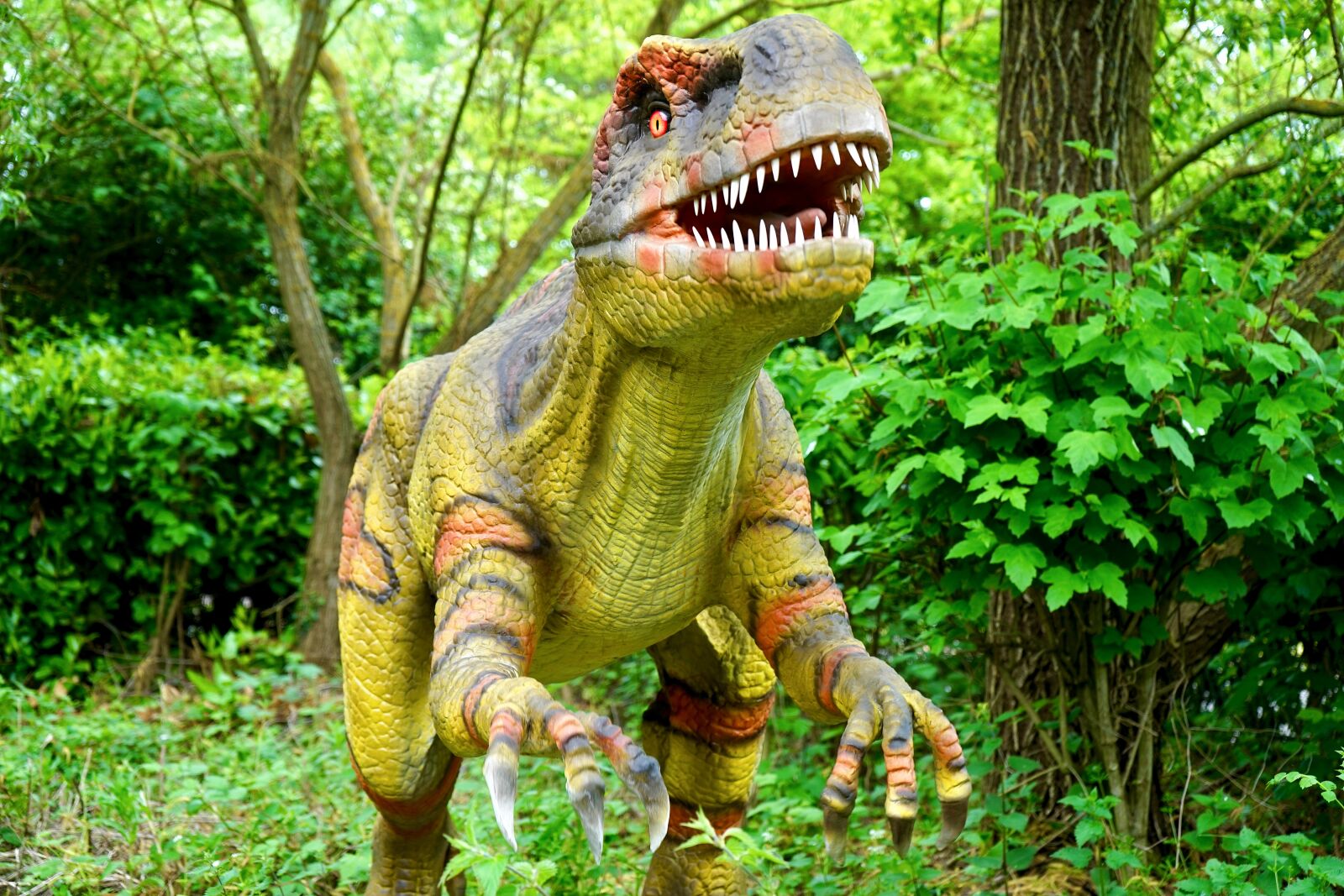 Sony a7 sample photo. Dinosaur, prehistoric, monster photography