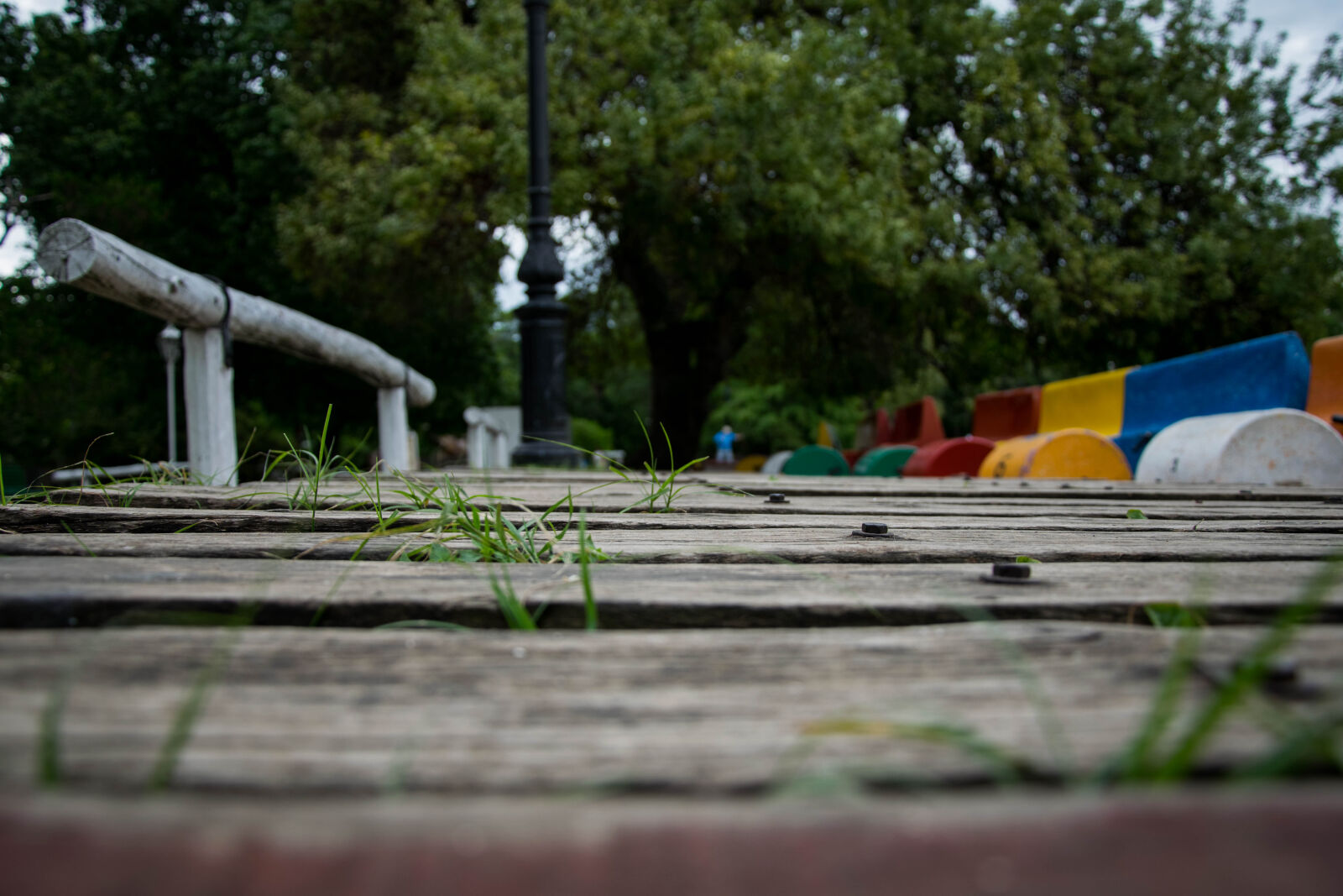 Nikon D5300 sample photo. Macro, photography, adobe, d5300 photography